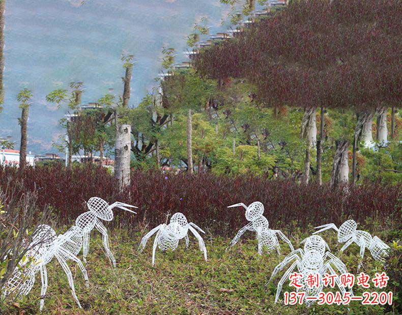 三明不锈钢蚂蚁镂空雕塑艺术与自然的完美结合