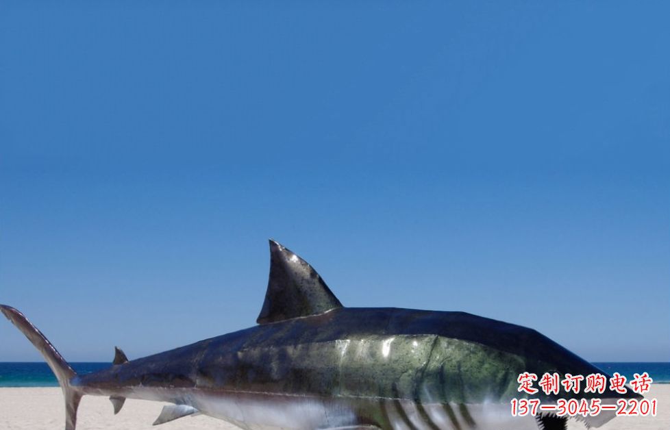 三明海洋生物之美——不锈钢鲨鱼雕塑