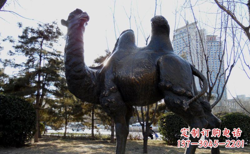 三明公园骆驼动物铜雕 (5)