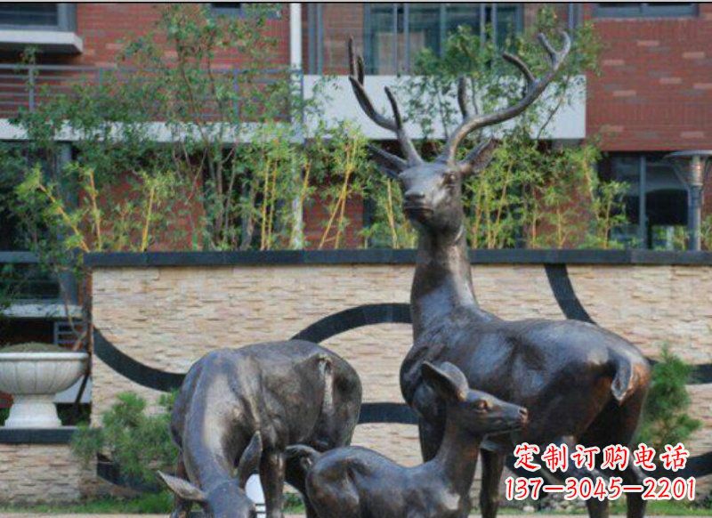 三明公园梅花鹿动物铜雕