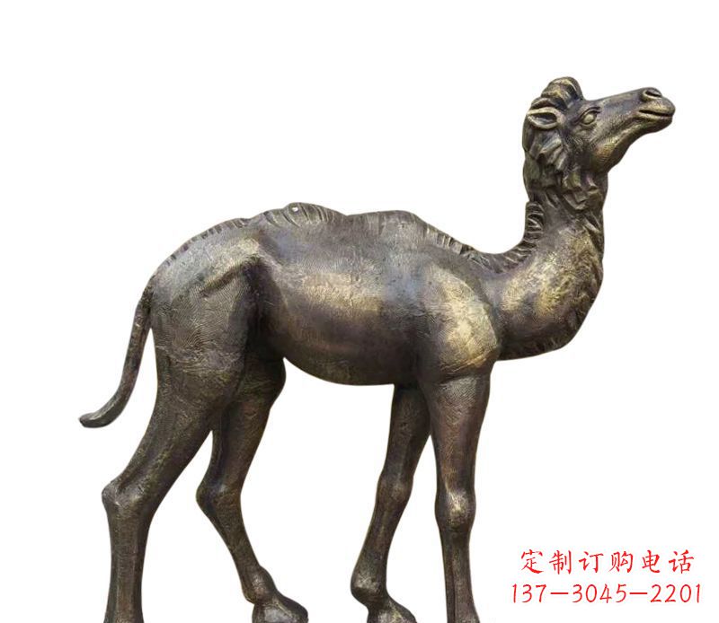 三明公园小骆驼铜雕