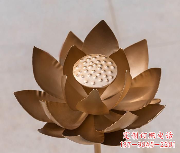 三明铜雕景观荷花